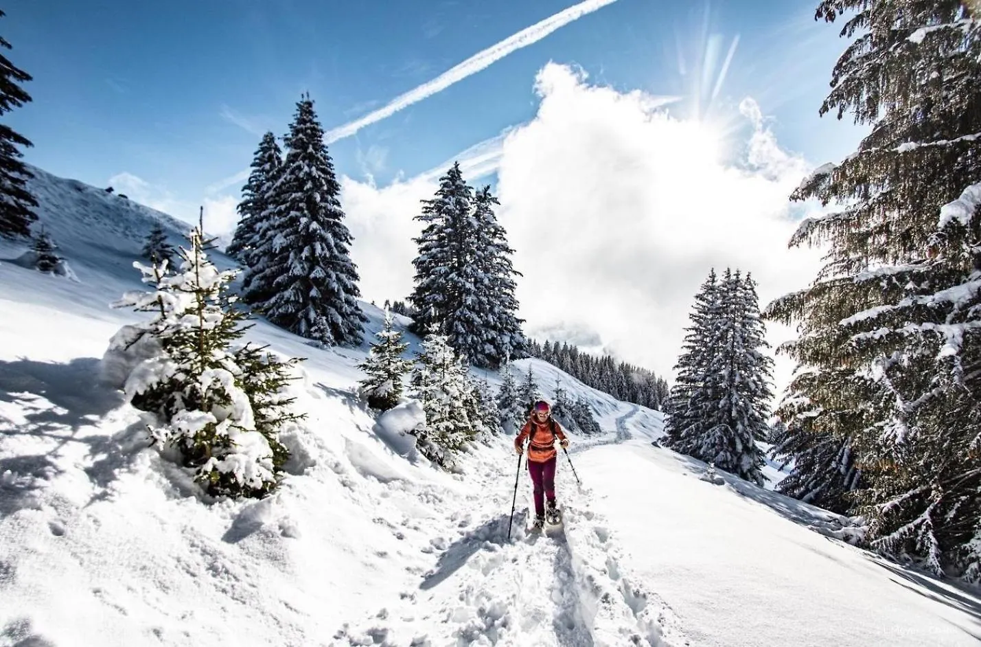 Sabot De Venus Sa8 Telecabine & Spacious 7 Pers Chatel